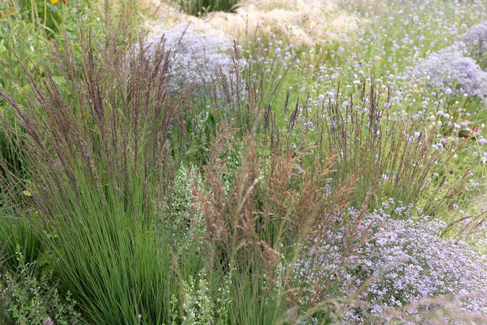 Country Estate Purple flowers Garden Design, Berkshire