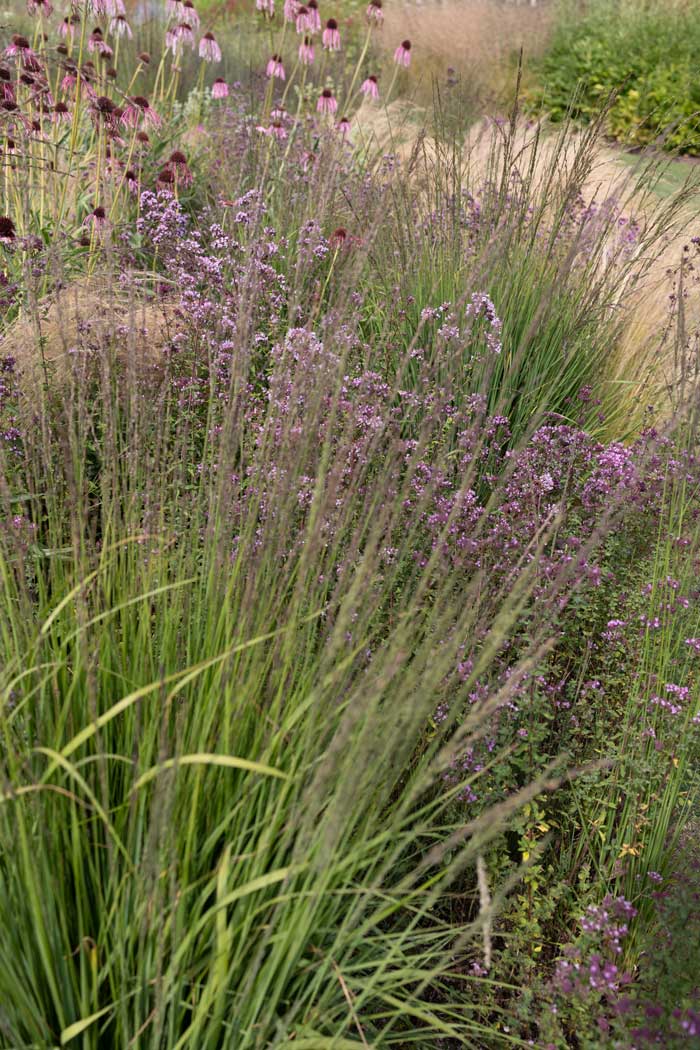 Country Estate Garden Design, Hampshire