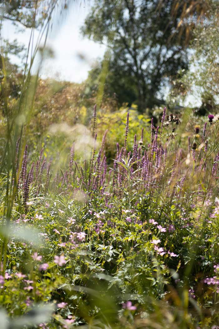Country Estate Garden Design, Sussex
