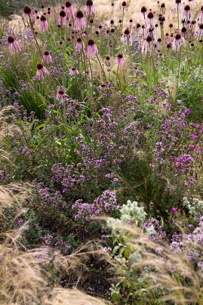 Country Estate Flowers Garden Design, Berkshire
