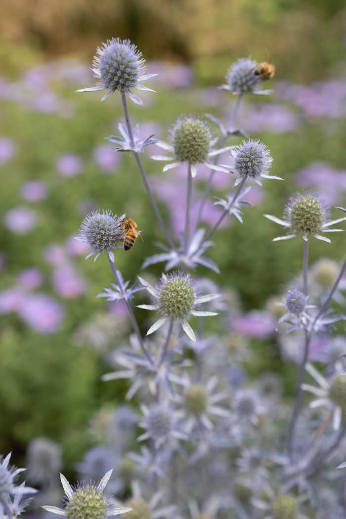 Country estate garden design Sussex