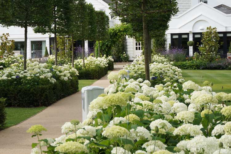 Landscape architecture for Monkey Island Hotel Berkshire