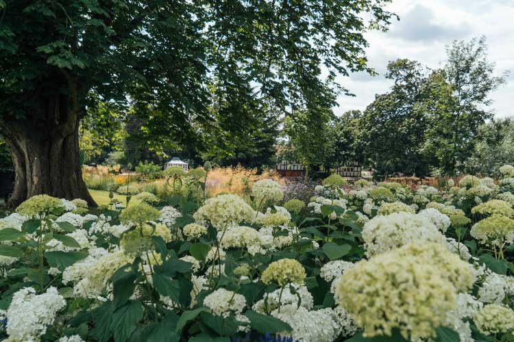 Hotel Garden Design for Monkey Island Estate Berkshire