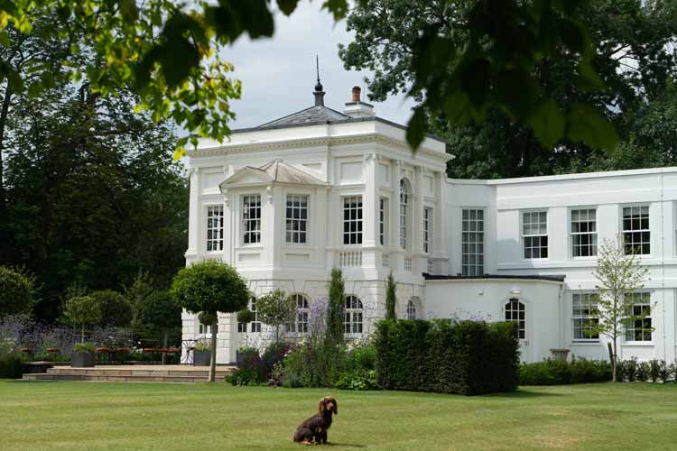 Dog on lawn in garden designed for Monkey Island Hotel Berkshire