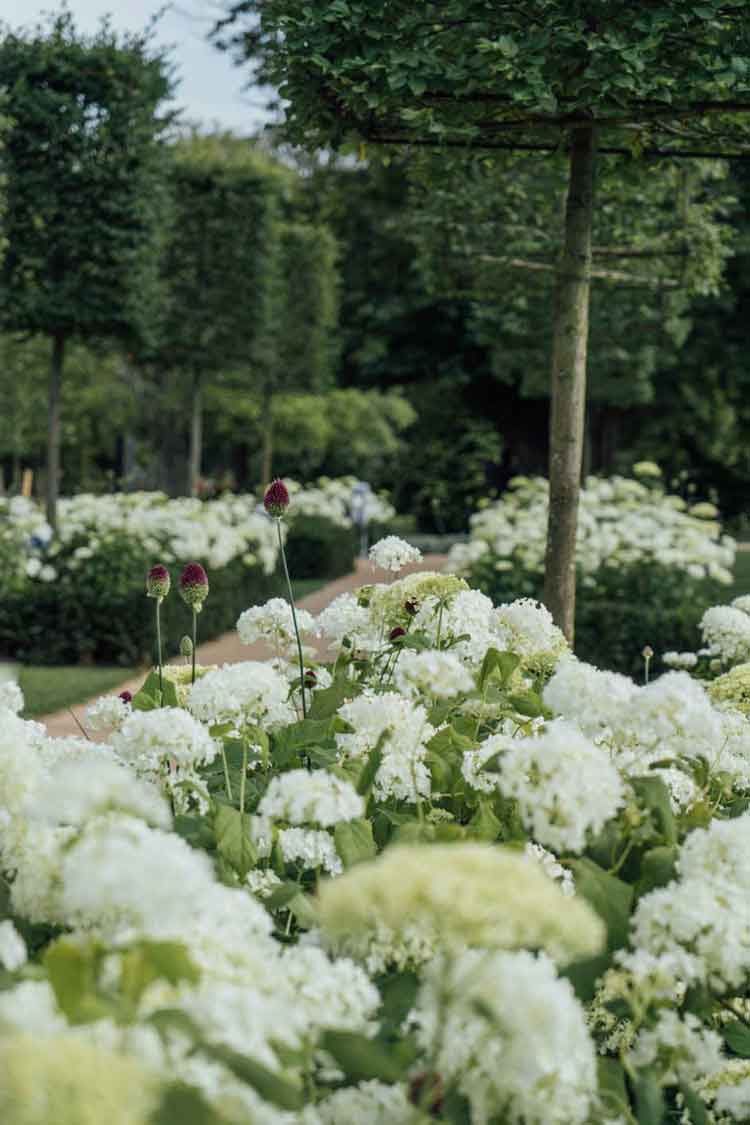 Planting design for Monkey Island Hotel, Berkshire