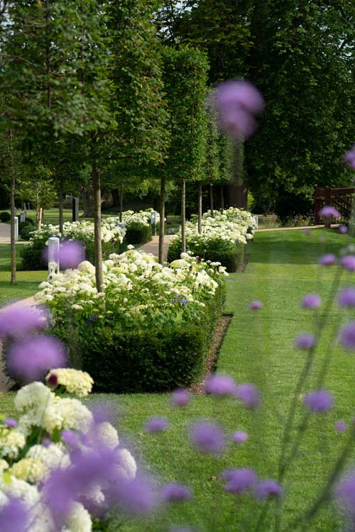 Scultured trees at Monkey Island Garden Design, Berkshire