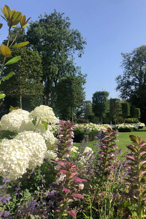 Monkey Island Garden Design, Berkshire