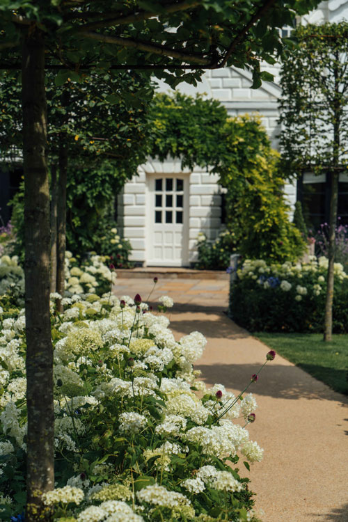 Landscape architects for Monkey Island Hotel