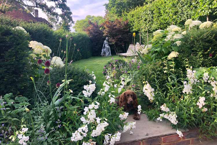 Residential Garden Design Surrey, Bradley Burgess Design