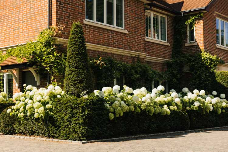 Country House Garden Design, Bradley Burgess Design