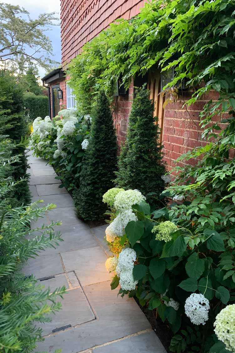 Landscape architects include hydrangeas in garden design for country home Surrey