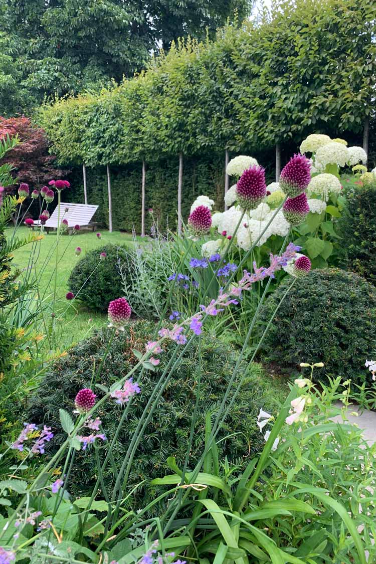 Landscape architects garden design for lawn at country homeBerkshire