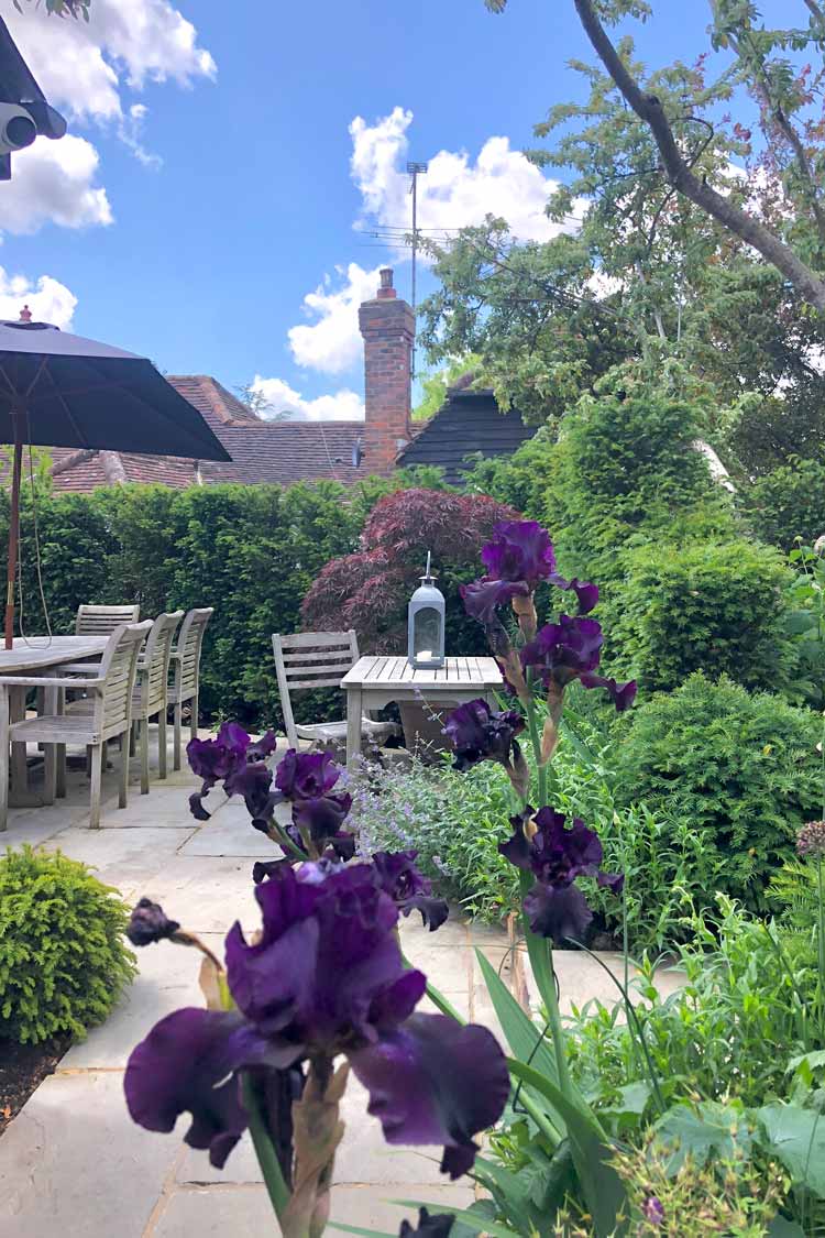Iris in Garden Design, Bradley Burgess Design