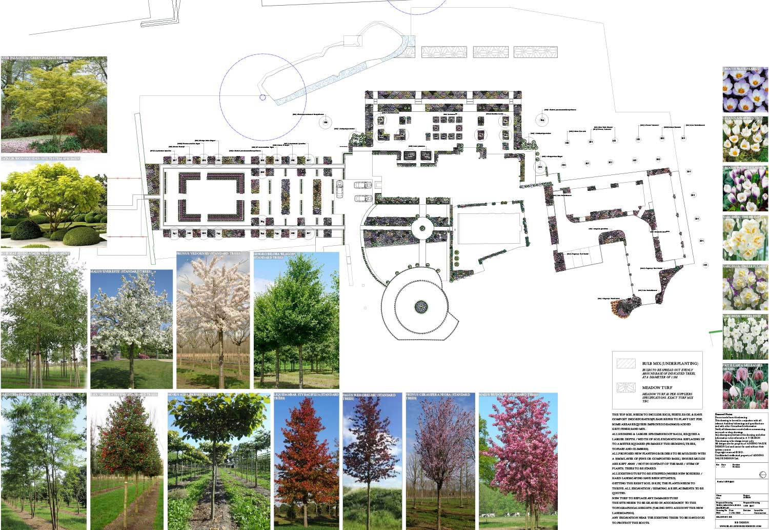 Bradley Burgess planting design for Monkey Island Hotel